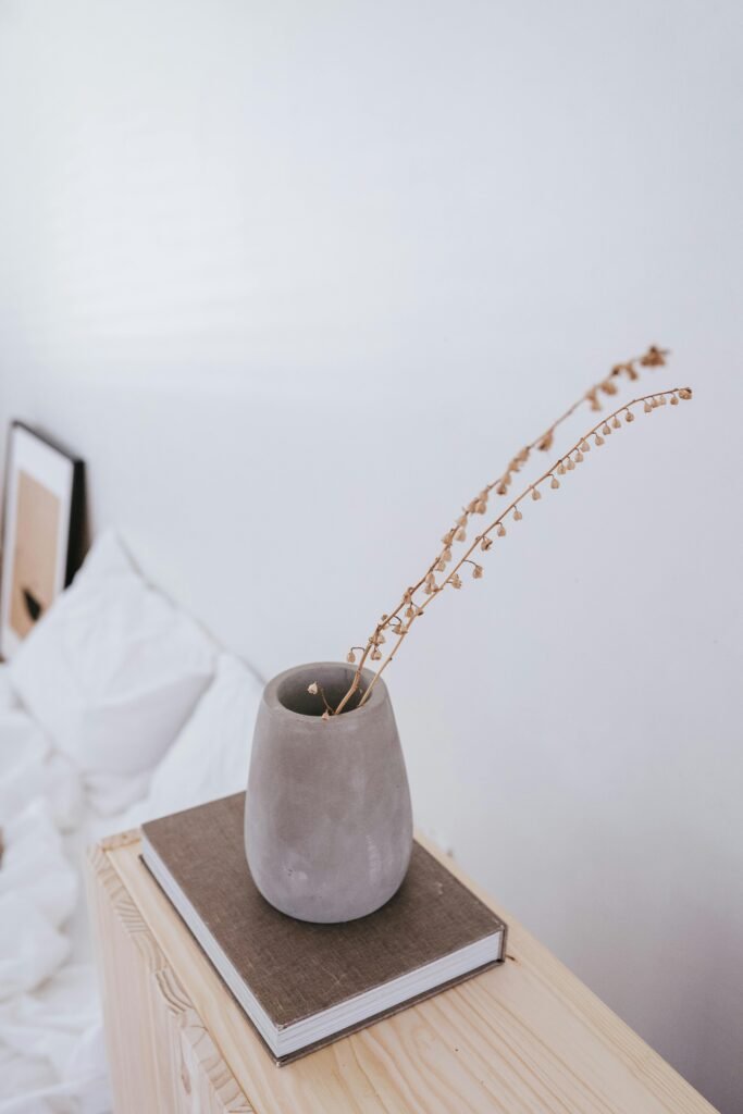 a plant in a vase