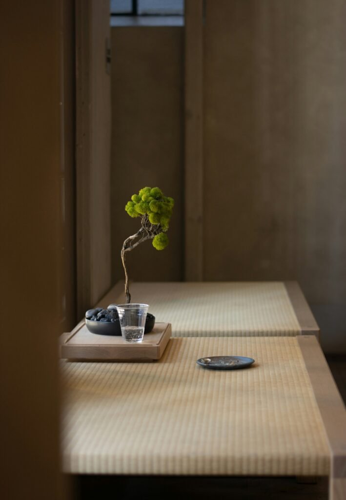 bonsai on tatami