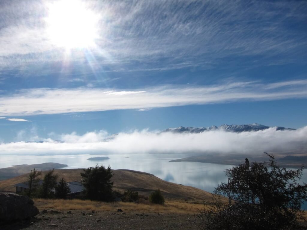 Overseas living - Expat Life in New Zealand