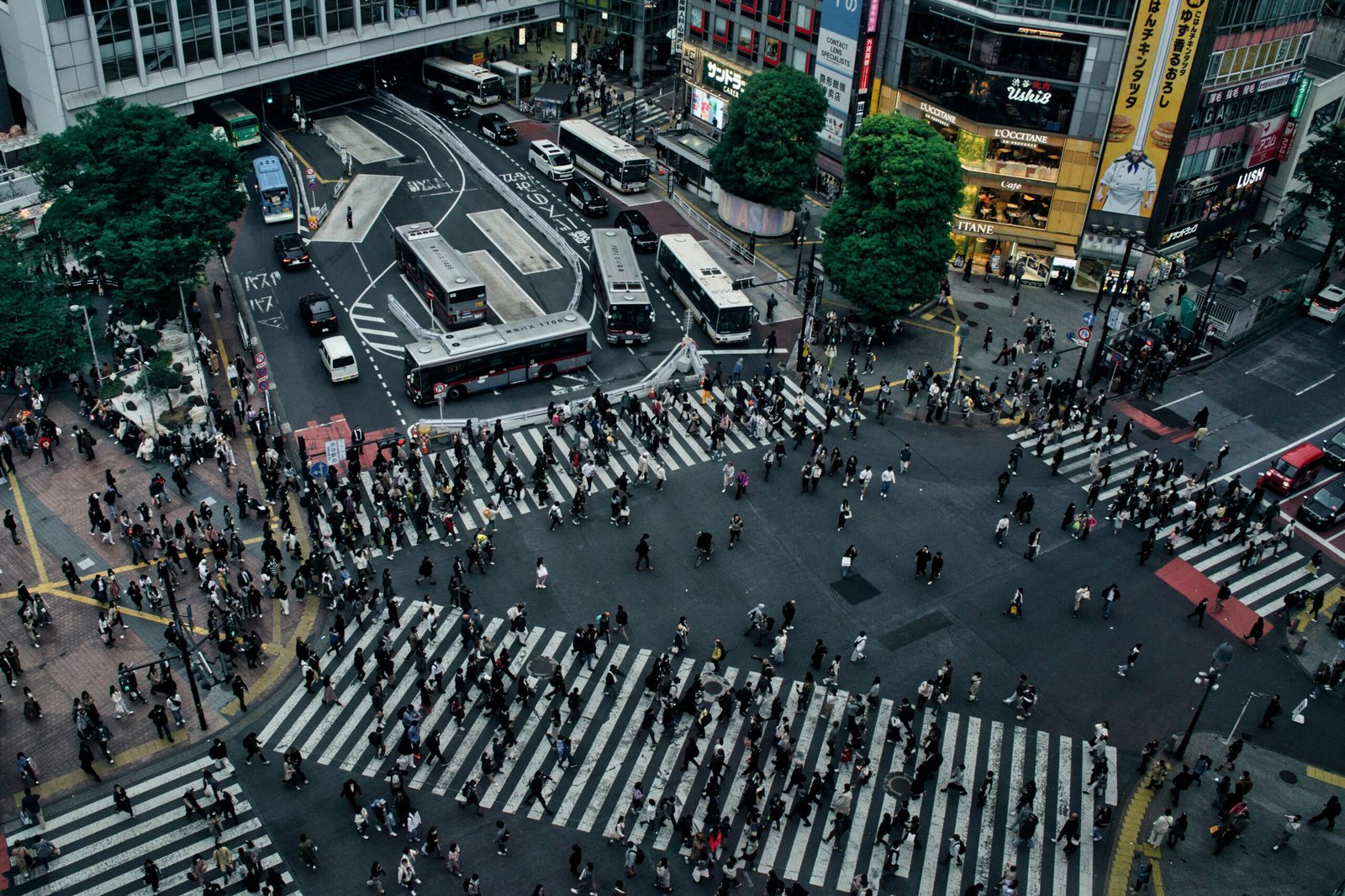 Japan’s Everyday Surprises — Little Culture Shocks You’ll Remember